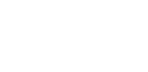 Ace Logo-white